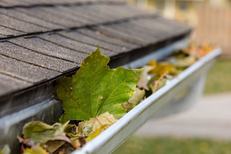 Gutters and Downspouts