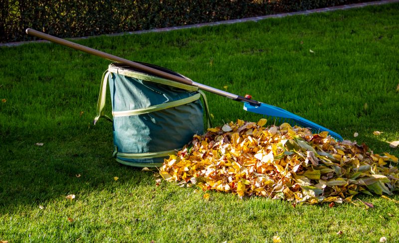 Collected Leaf Piles