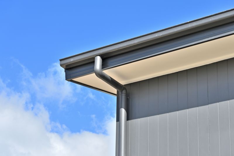 Commercial Building Gutter