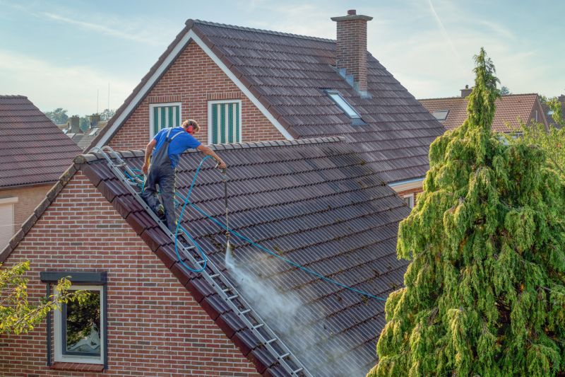 How Roof Cleaning Extends Shingle Lifespan