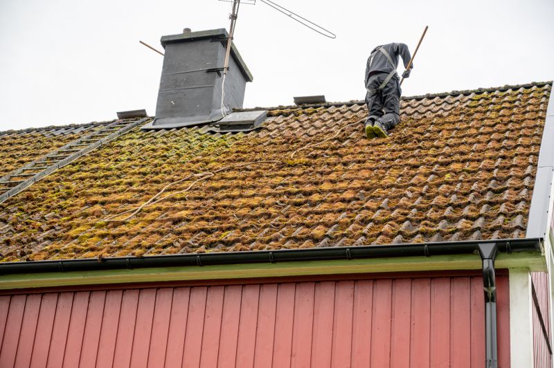 Removing Moss from Roof