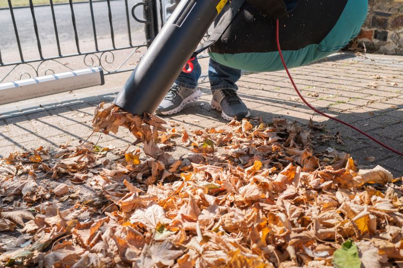 Roof Leaf Blowing