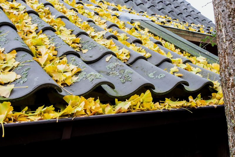 Roof Leaf Blowing