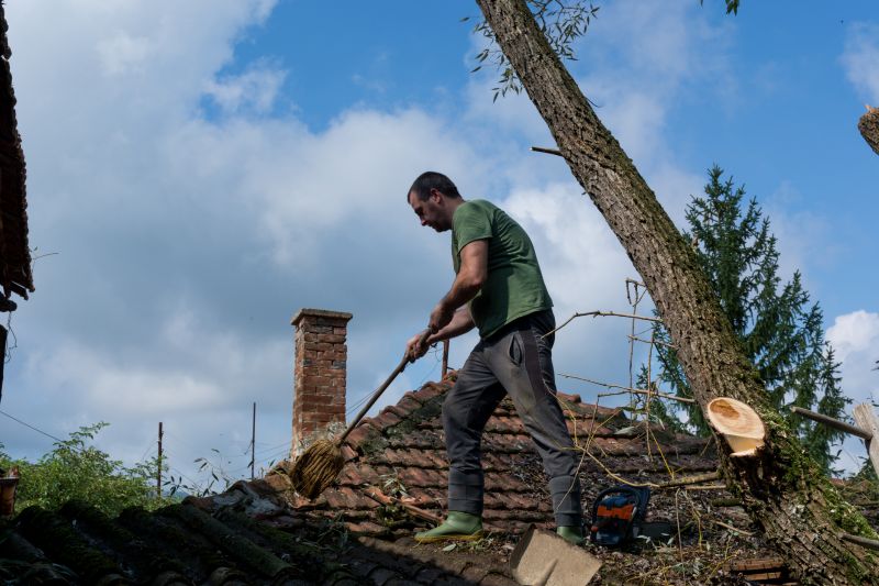 Roof Leaf Blowing