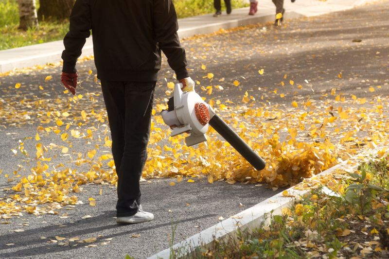 Roof Leaf Blowing