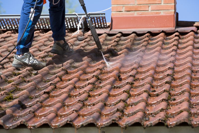 Tile Roof Cleaning